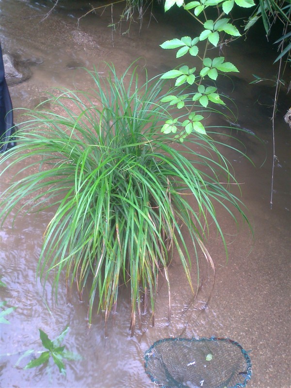 生活如此简单843 / 作者:乐乐 / 帖子ID:35612