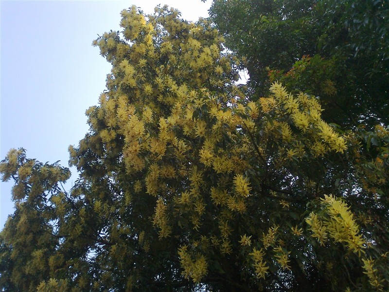 生活如此简单404 / 作者:乐乐 / 帖子ID:35612