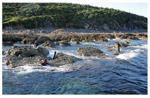 小日本登上钓鱼岛应不应该也捆起来？896 / 作者:平安大叔 / 帖子ID:35663