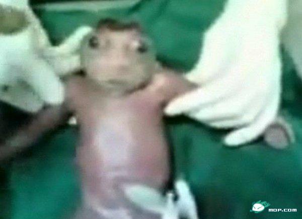 国外一妇产下怪胎疑为亿年前生物818 / 作者:翠微瑶人 / 帖子ID:35691