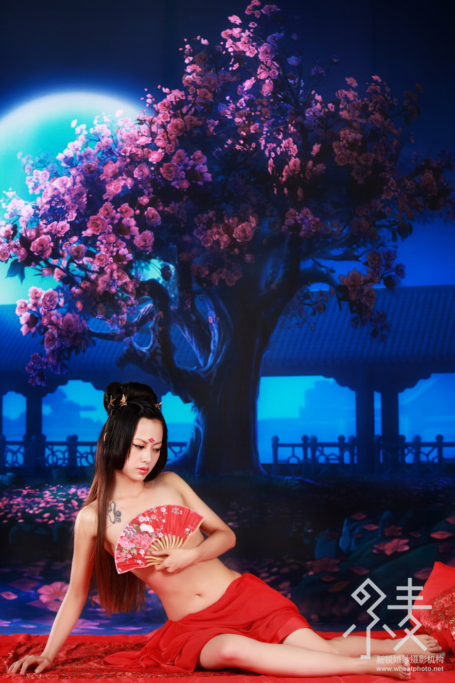惹红尘521 / 作者:桂林小麦摄影 / 帖子ID:35716