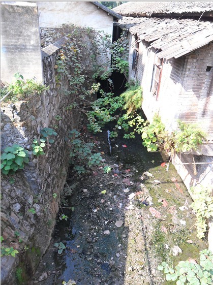 猜猜如此恶心的地方是在县城哪个角落？344 / 作者:风油精 / 帖子ID:35729