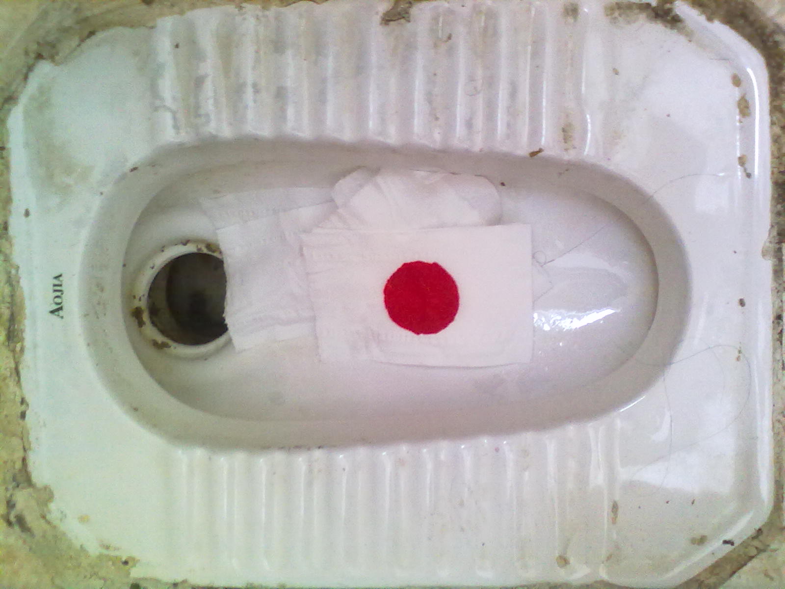 我只用行动表达我的愤怒！！！690 / 作者:竹笋 / 帖子ID:35784