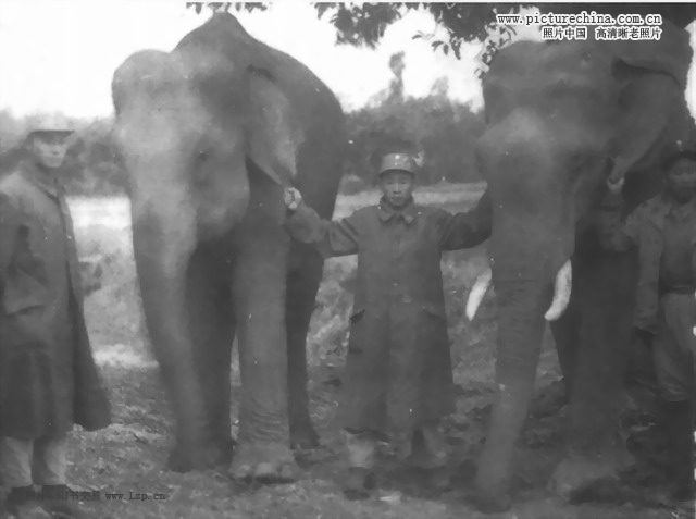 其实很多历史你不知道！！野史也疯狂…715 / 作者:萝卜酸送粥 / 帖子ID:27011