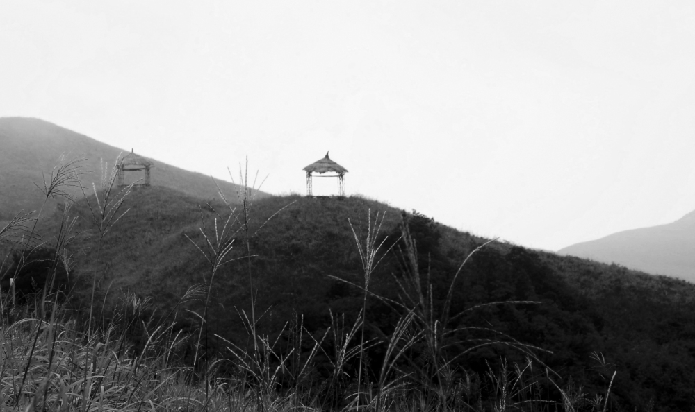 借论群里朋友的光，克了次燕子山..........好大的雾..........311 / 作者:xuanz / 帖子ID:37663