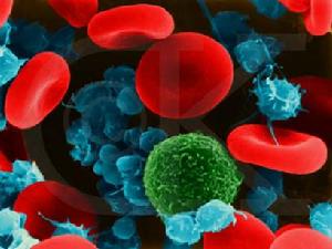 拥有啦米2！你就拥有啦全世界！114 / 作者:bps55555 / 帖子ID:37851