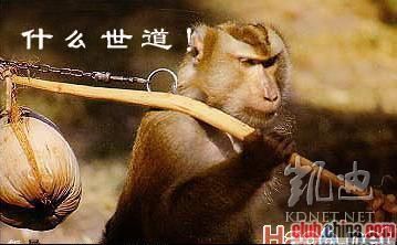 黑龙江一农村月养老金仅三角。76 / 作者:打倒小日本 / 帖子ID:37893