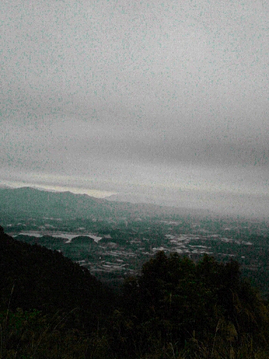 夕阳无限好，只是尽黄昏956 / 作者:涛``声依旧 / 帖子ID:37949