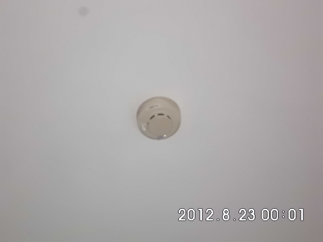 请问大家这是什么东西155 / 作者:悬崖上的芳香 / 帖子ID:37952