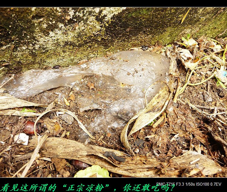 这样的“人造合成凉粉”谁敢吃？317 / 作者:平安大叔 / 帖子ID:38132