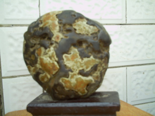 奇石上的书法艺术835 / 作者:暮云春树 / 帖子ID:38312