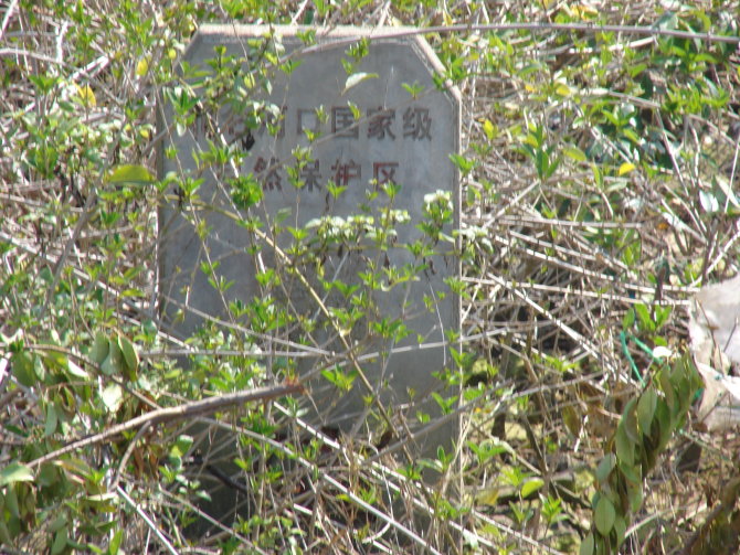 防城港 古渔村捕鱼 冲皇沟漂流、泡水活动召集363 / 作者:狗掰涛 / 帖子ID:38429