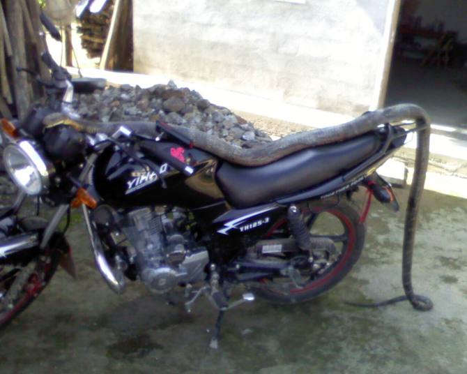 这个东西有点黑人额。284 / 作者:∑⌒不过_如此 / 帖子ID:43340