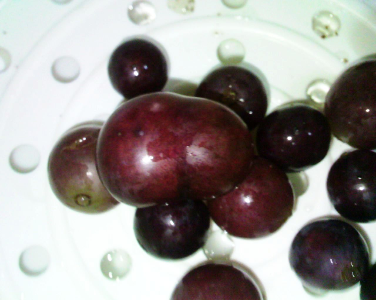 【求解释】发了两颗葡萄怎么就违规了？？？......899 / 作者:排散 / 帖子ID:43472