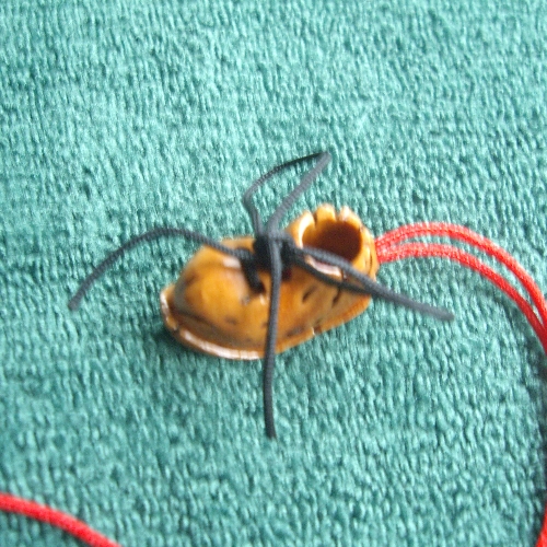 续我的桃核雕刻，更新图片479 / 作者:爱潇宝 / 帖子ID:43477