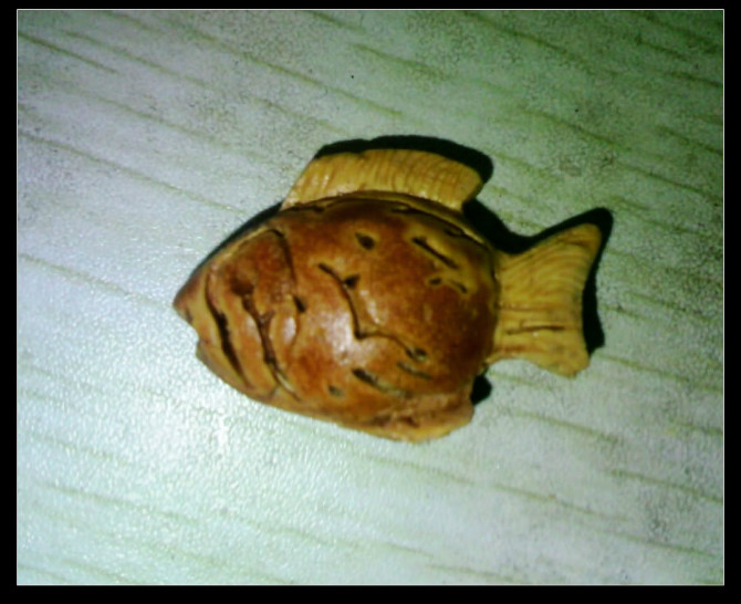 续我的桃核雕刻，更新图片285 / 作者:排散 / 帖子ID:43477