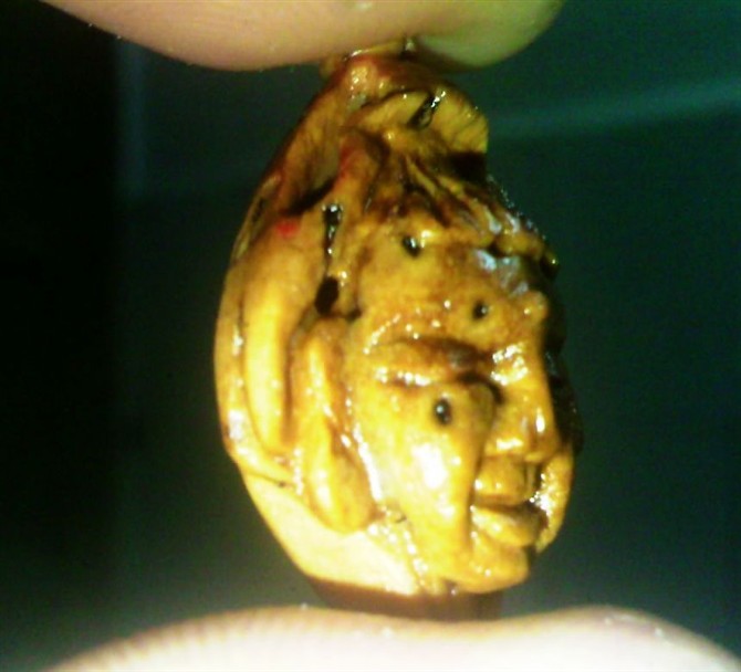 续我的桃核雕刻，更新图片771 / 作者:排散 / 帖子ID:43477