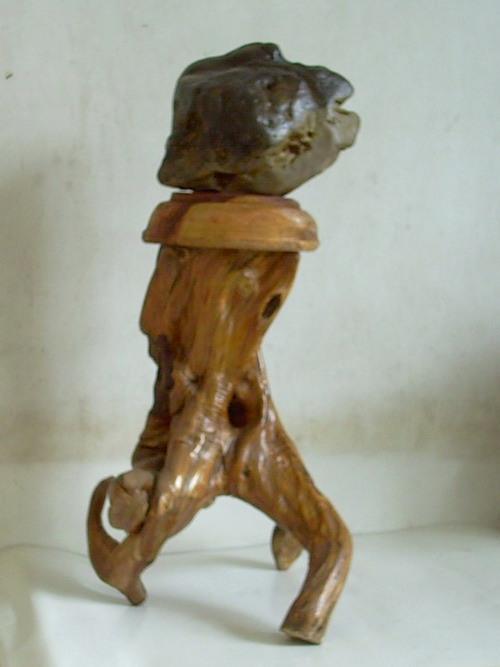 奇石//远古来客!913 / 作者:暮云春树 / 帖子ID:48270