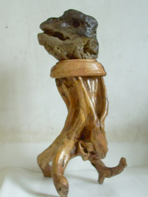 奇石//远古来客!736 / 作者:暮云春树 / 帖子ID:48270