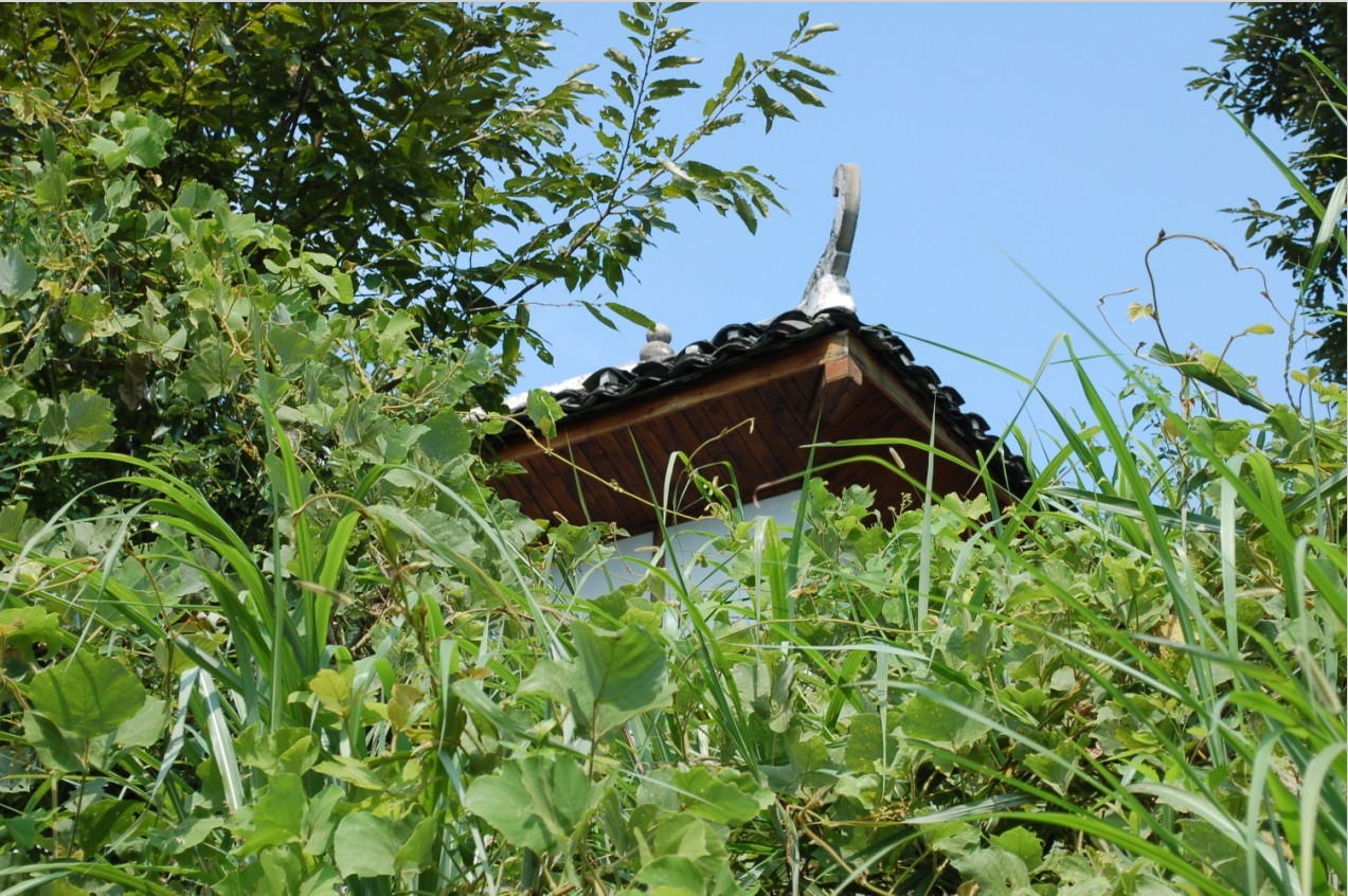 晨龙山莊  一处集养殖,种植,农业观光,垂钓休闲,旅游住宿于一体的休闲山莊2 / 作者:星想事成 / 帖子ID:50209
