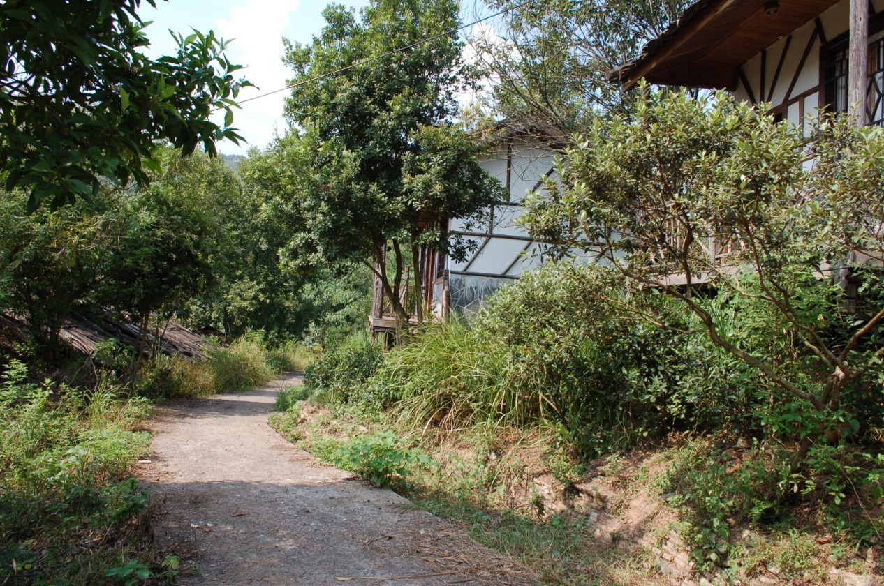晨龙山莊  一处集养殖,种植,农业观光,垂钓休闲,旅游住宿于一体的休闲山莊257 / 作者:星想事成 / 帖子ID:50209