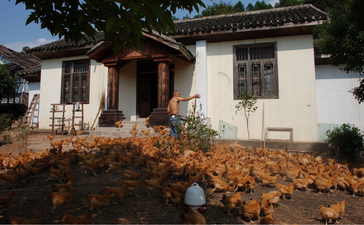 晨龙山莊  一处集养殖,种植,农业观光,垂钓休闲,旅游住宿于一体的休闲山莊87 / 作者:星想事成 / 帖子ID:50209
