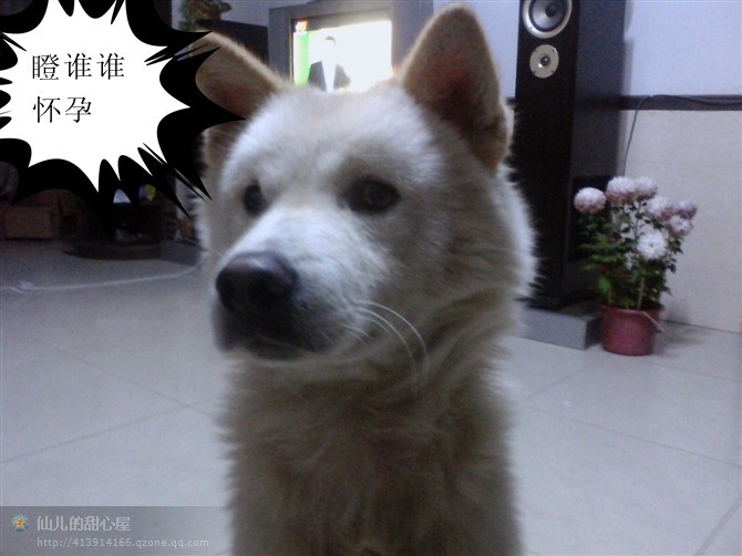 我和麻蛋群主的浴照807 / 作者:成 成 / 帖子ID:50255