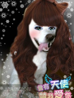 我和麻蛋群主的浴照225 / 作者:成 成 / 帖子ID:50255