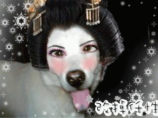 我和麻蛋群主的浴照883 / 作者:成 成 / 帖子ID:50255