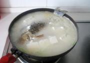 鲫鱼豆腐汤223 / 作者:小雨点 / 帖子ID:51770