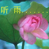 晨龙山莊  一处集养殖,种植,农业观光,垂钓休闲,旅游住宿于一体的休闲山莊534 / 作者:YJC / 帖子ID:50209