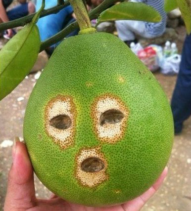 让人无法淡定的爆笑囧图，忍不住笑喷啦！814 / 作者:莫醒我 / 帖子ID:54267