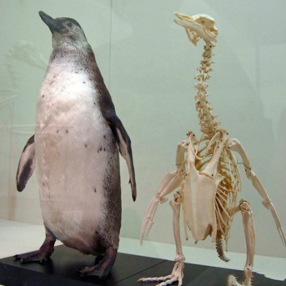 让人无法淡定的爆笑囧图，忍不住笑喷啦！415 / 作者:莫醒我 / 帖子ID:54267