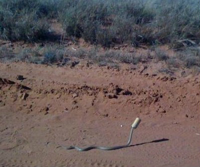 让人无法淡定的爆笑囧图，忍不住笑喷啦！664 / 作者:莫醒我 / 帖子ID:54267