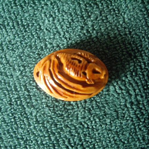 年年有佘824 / 作者:爱潇宝 / 帖子ID:54275