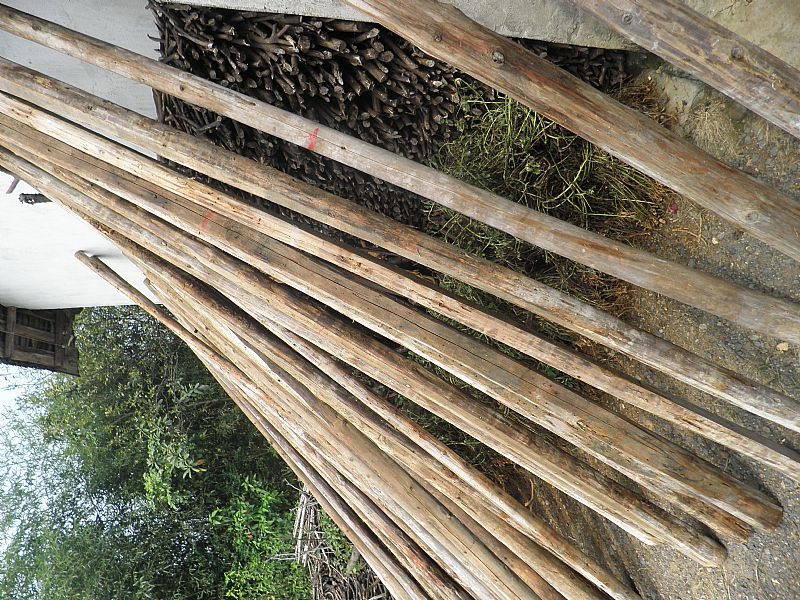 自家用建筑杉木出售675 / 作者:锋_l_o_v_e_玲 / 帖子ID:54325