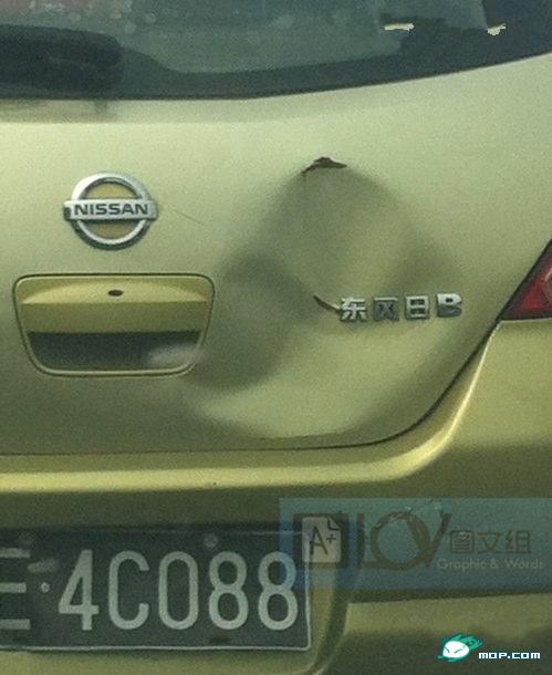 生活就是这么能扯 我就不信你不扯！436 / 作者:俗人 / 帖子ID:54470