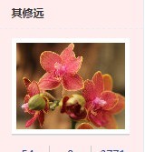滨江苑（晚霞）508 / 作者:老兔子 / 帖子ID:54462