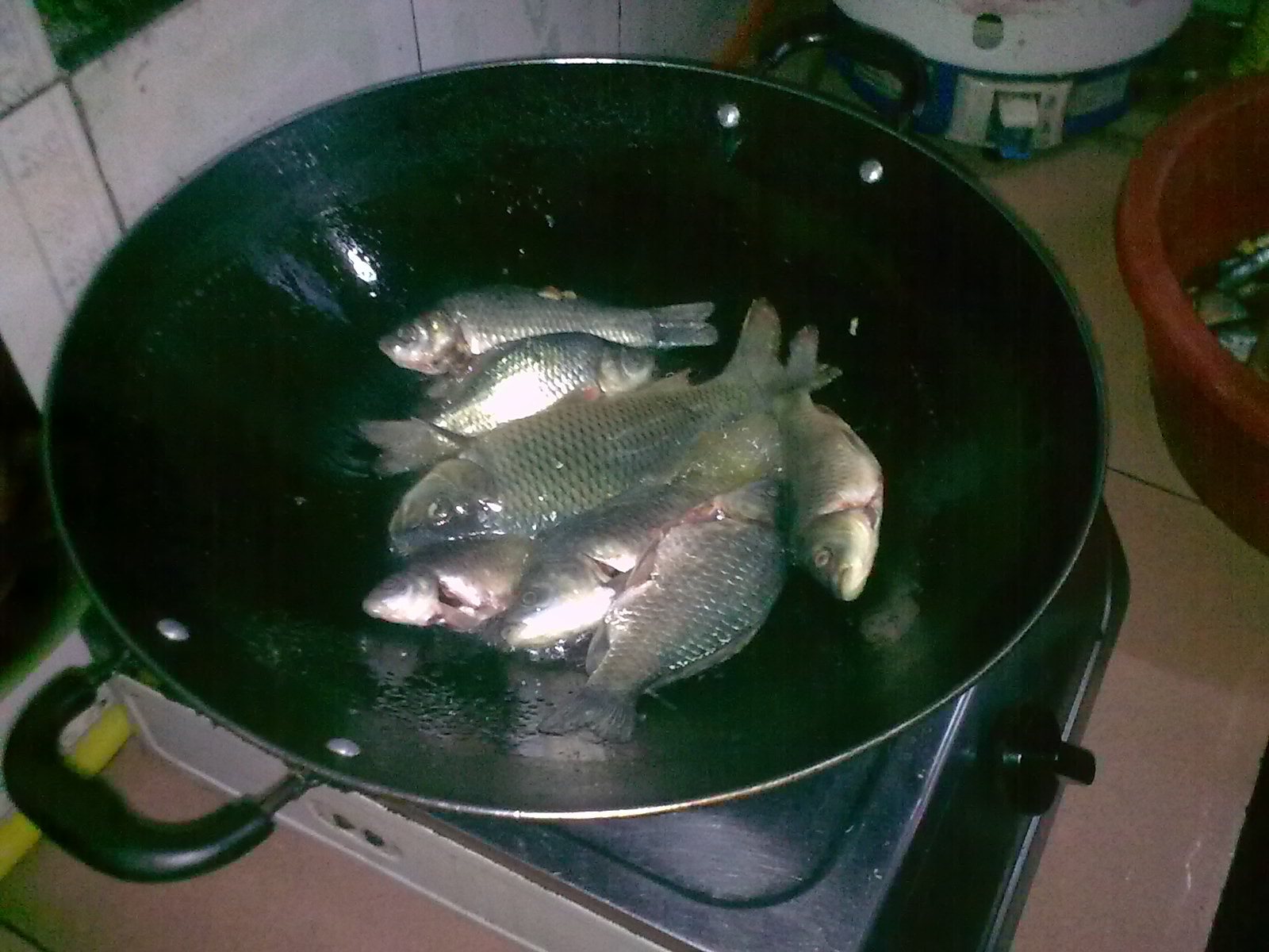 好久没发吃鱼的PP了，再来几张424 / 作者:极速6688 / 帖子ID:54853