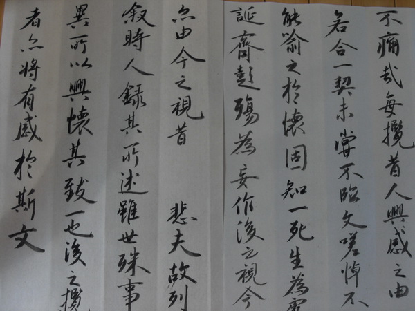 我写"兰亭序"660 / 作者:暮云春树 / 帖子ID:55079