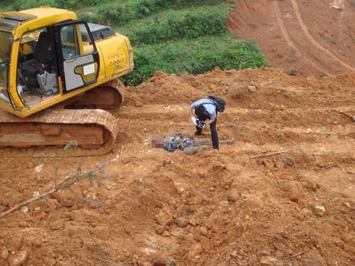 湖南村民阻上施工被碾死。28 / 作者:平安大叔 / 帖子ID:55293