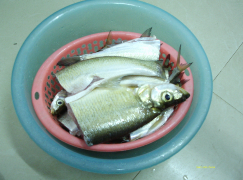 国庆小钓179 / 作者:简单 / 帖子ID:55787