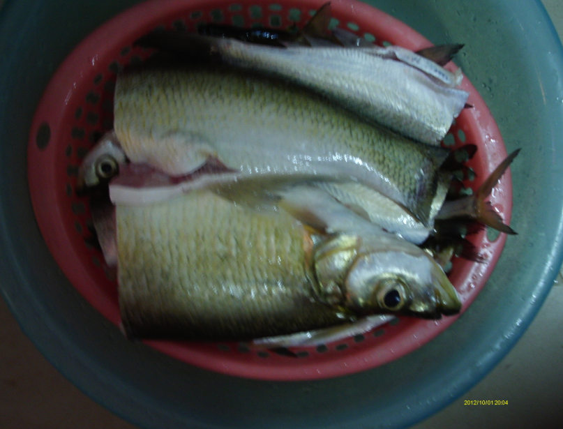 国庆小钓299 / 作者:简单 / 帖子ID:55787