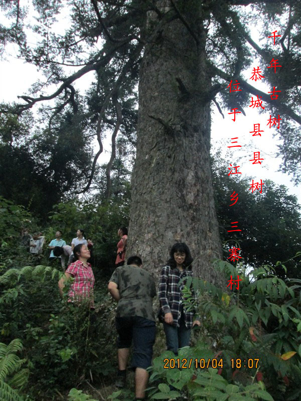 茶江户外国庆三江两日游部分PP775 / 作者:茶江户外 / 帖子ID:56512