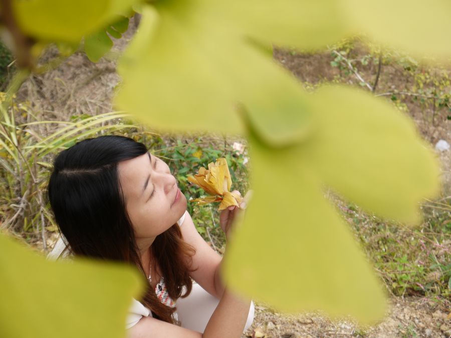 国庆游记～在家的日子太短暂706 / 作者:娟子 / 帖子ID:56547