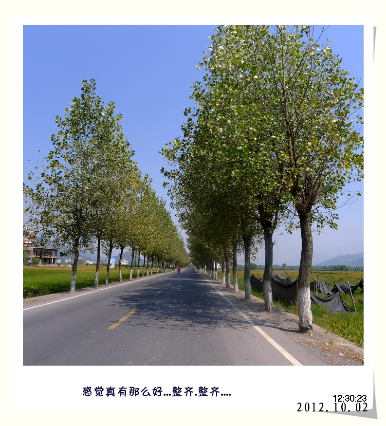 天亮就出发.灌阳篇。643 / 作者:講不醜 / 帖子ID:56581