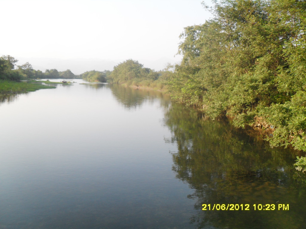 国庆回家拍了几张自己家里的小河240 / 作者:王小贱 / 帖子ID:56594