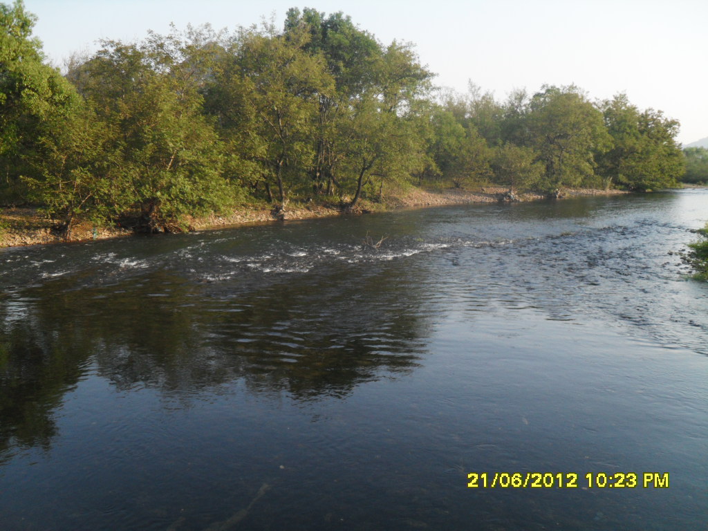 国庆回家拍了几张自己家里的小河426 / 作者:王小贱 / 帖子ID:56594