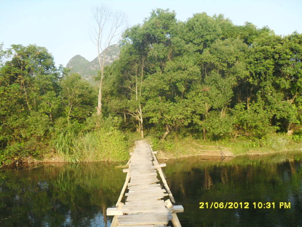 国庆回家拍了几张自己家里的小河983 / 作者:王小贱 / 帖子ID:56594