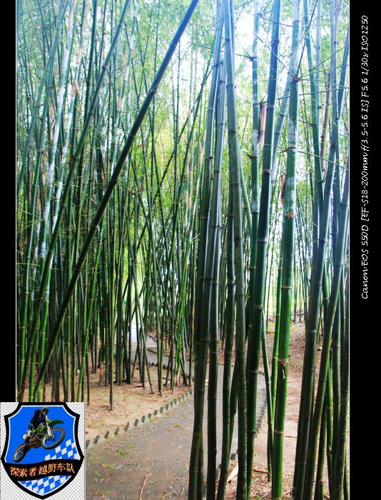 摩托小旅！~两广地区摩托车友的聚会614 / 作者:探索者越野车队 / 帖子ID:56446